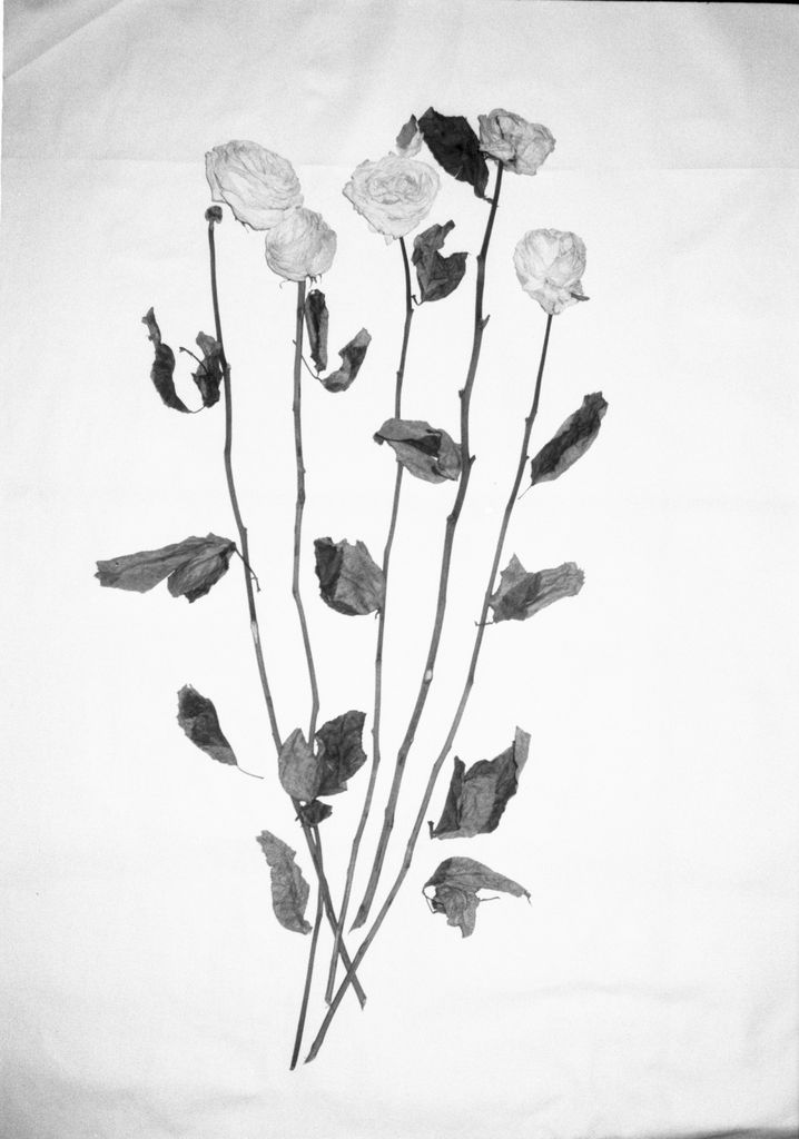 12_result