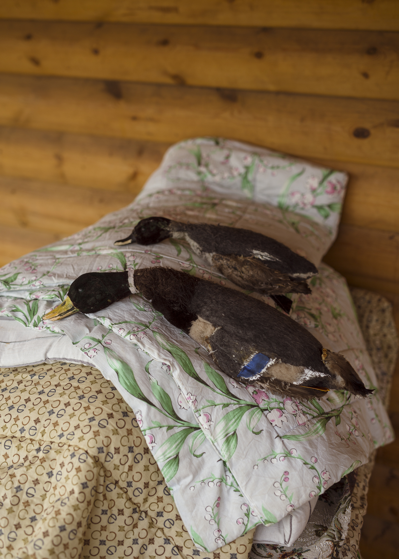 Ducks - props for the Yakut fairy tale film "The Old Beyberikeen".