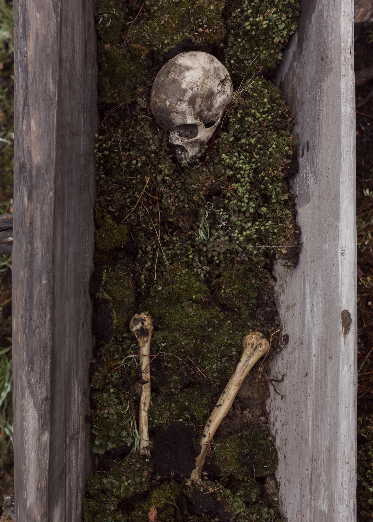 The fake remains of a shaman on the mystical drama shooting "the Cursed land".