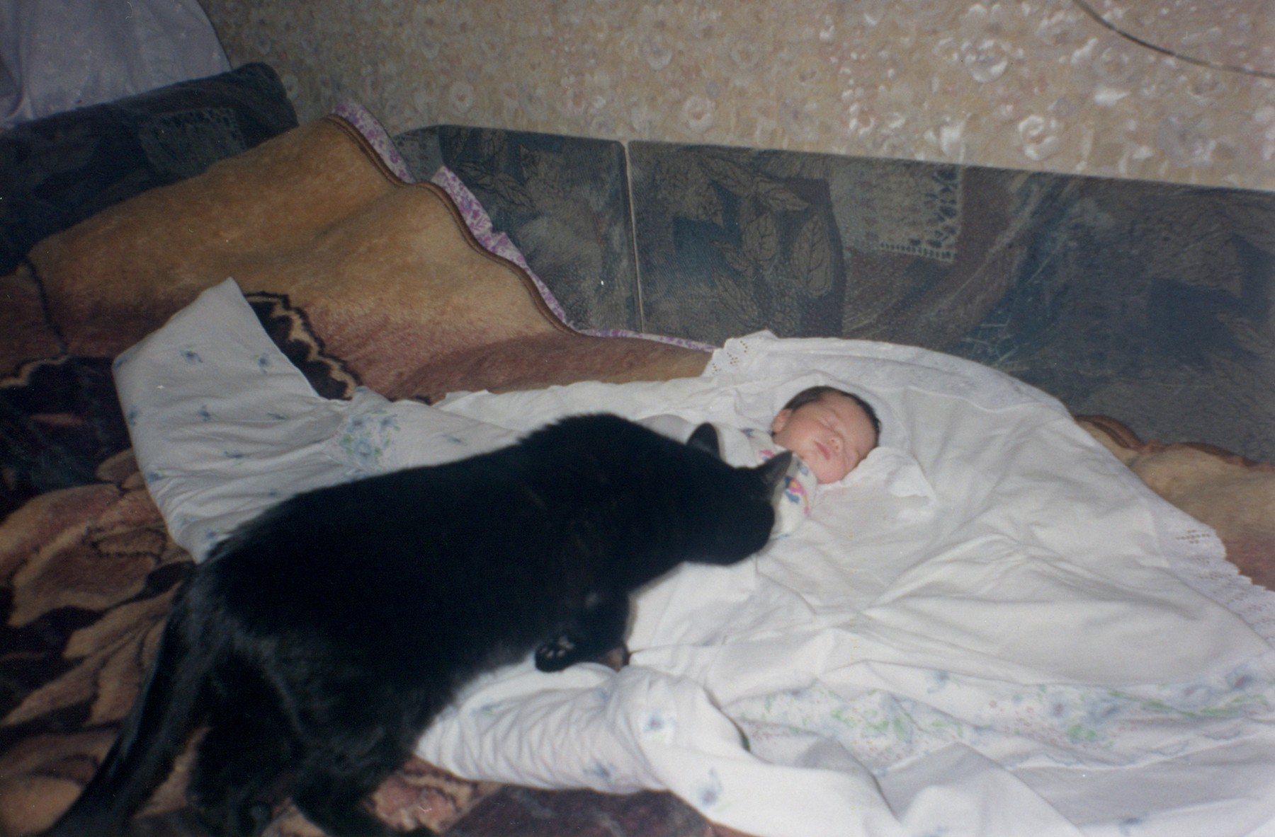 Nika_Sandler_My Nonhuman Friends_02
