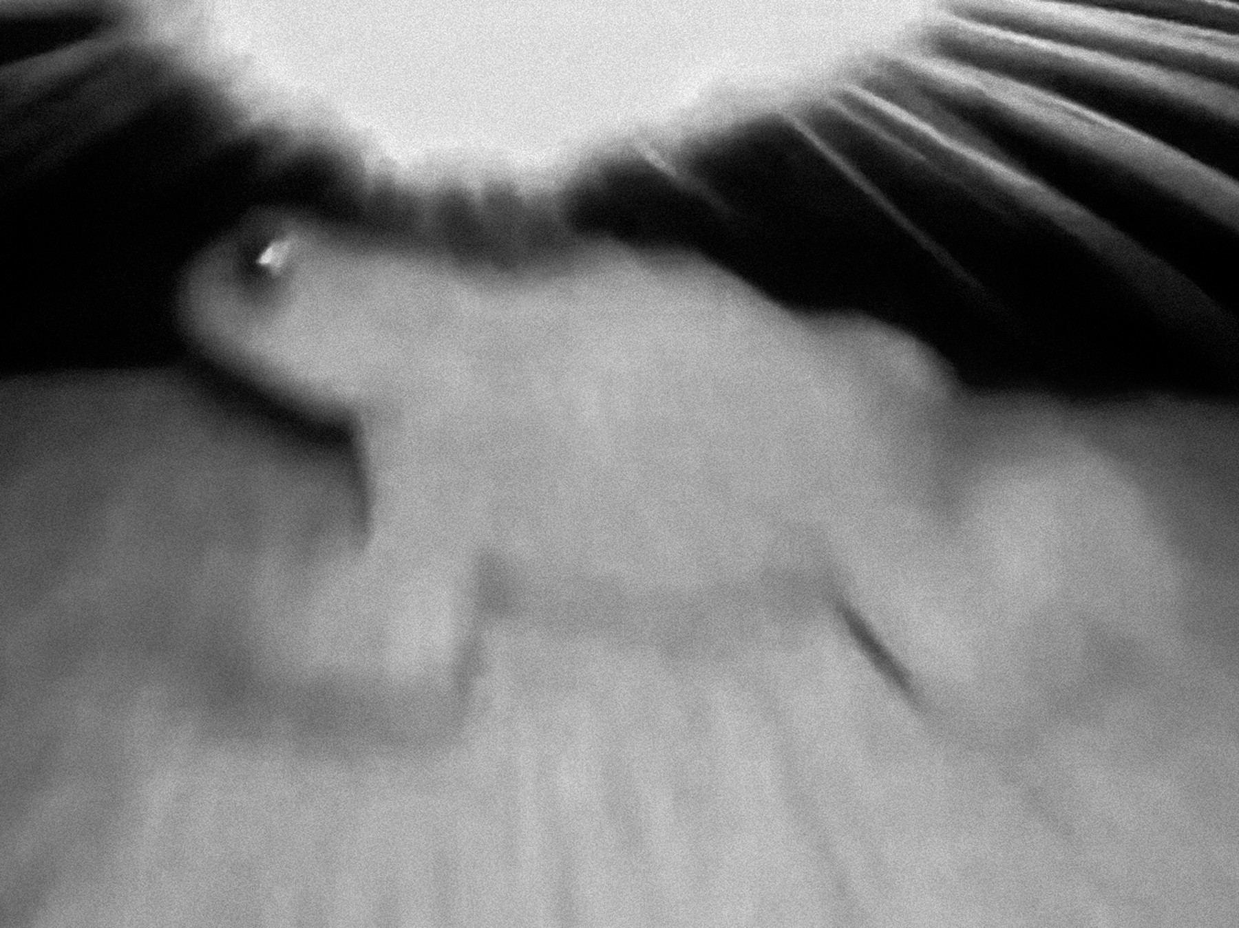 Nika_Sandler_My Nonhuman Friends_08