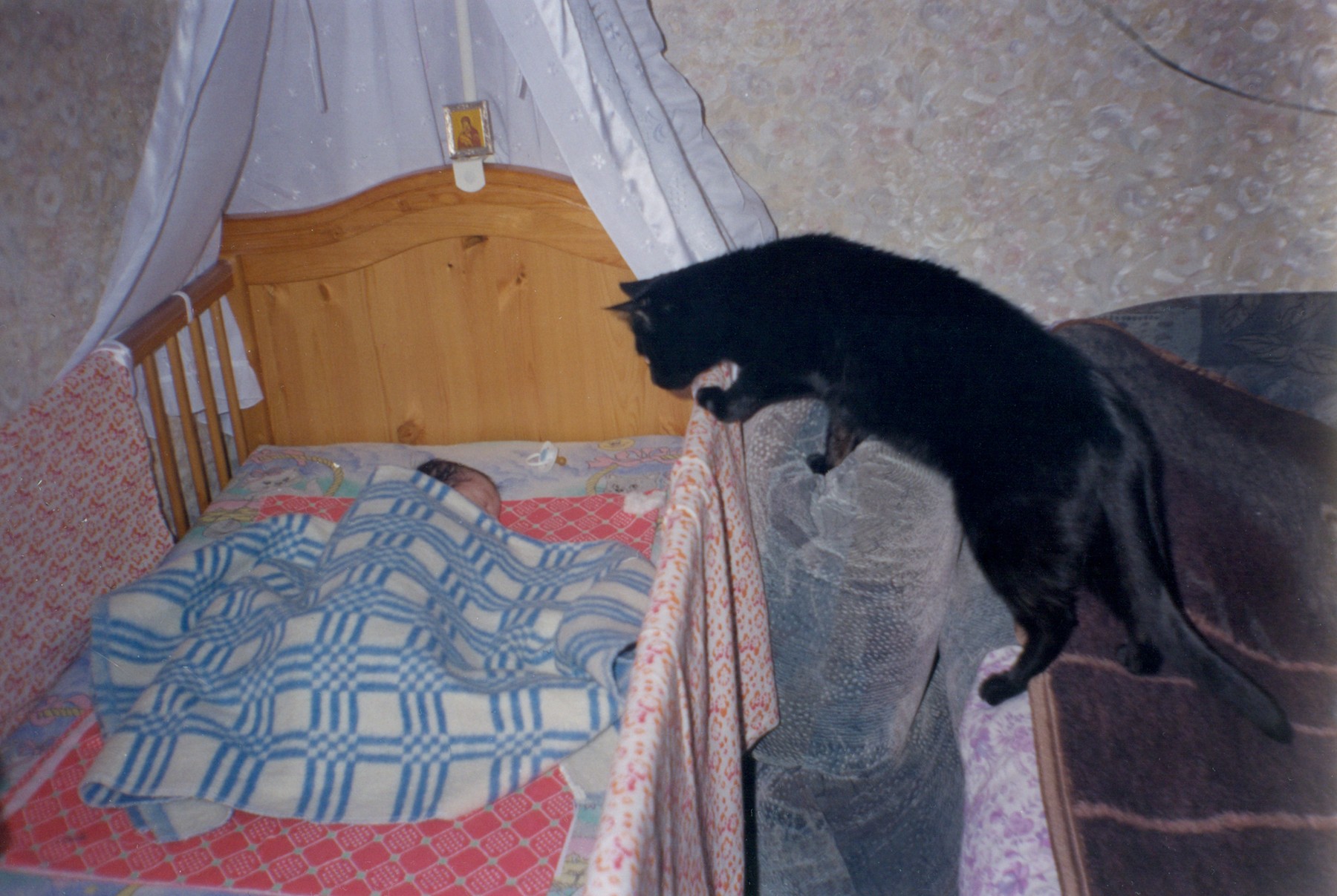 Nika_Sandler_My Nonhuman Friends_09