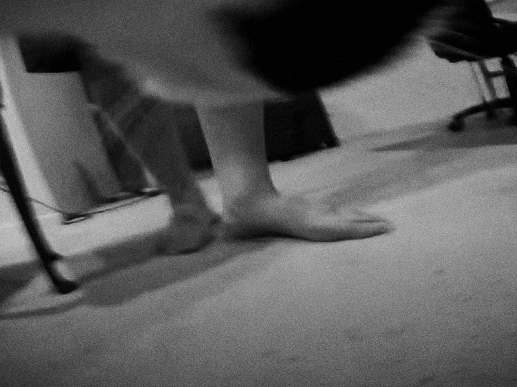 Nika_Sandler_My Nonhuman Friends_35