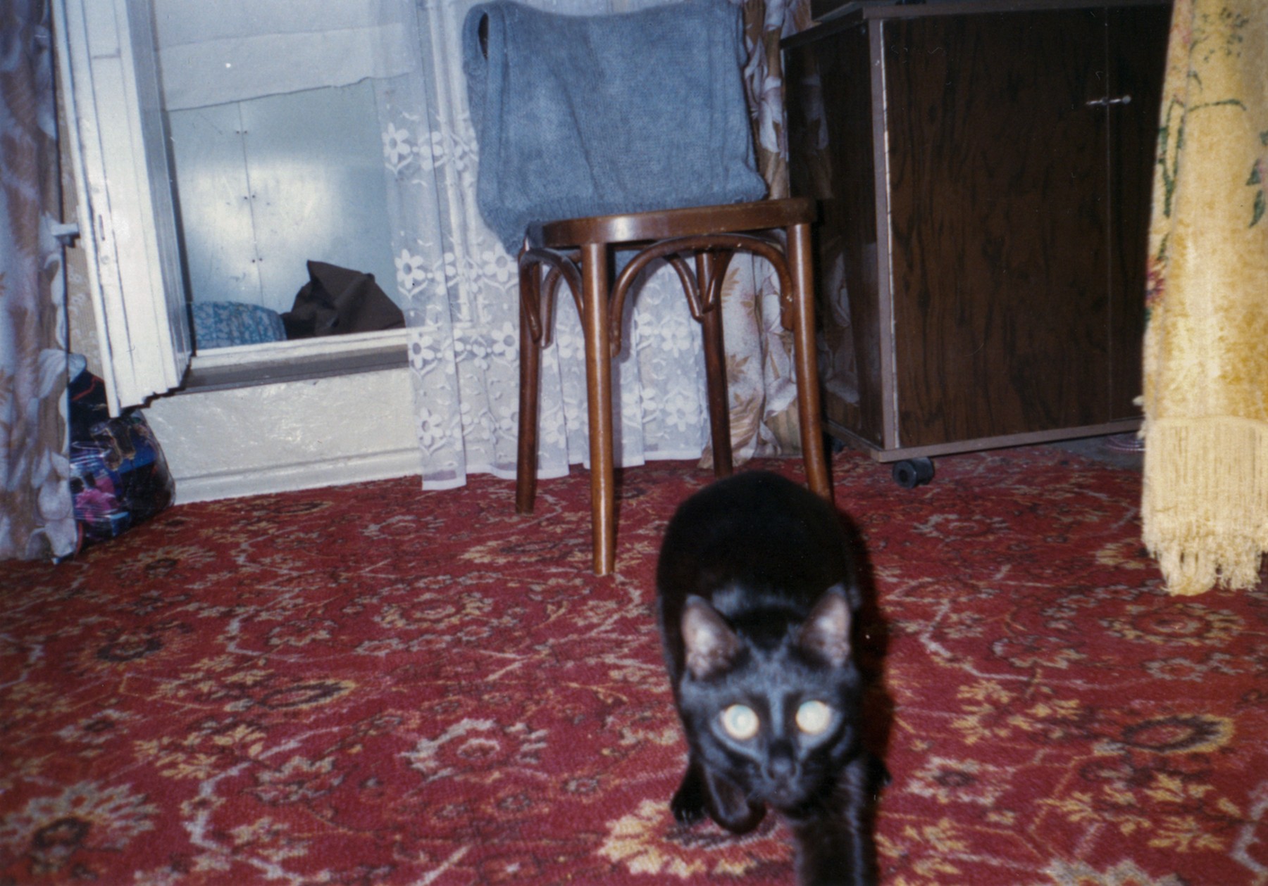 Nika_Sandler_My Nonhuman Friends_45
